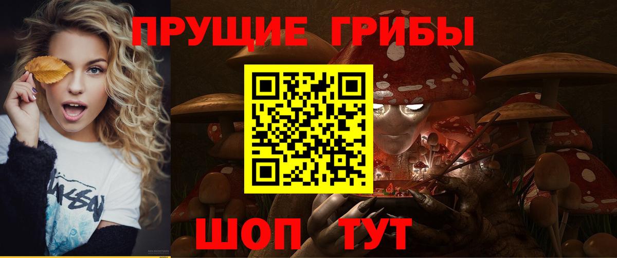 Псилоцибиновые грибы Cubensis  Вход с VPN  Ейск  Галлюциногенные грибы ЛСД 
